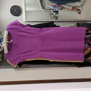 Pink JCrew stretch work dress size 2